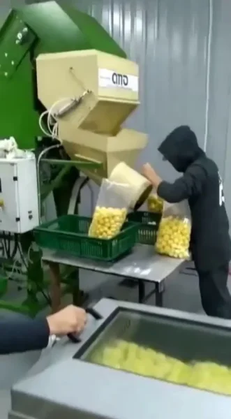 линия