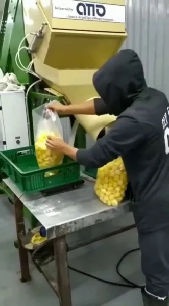 линия