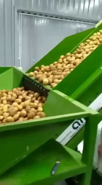 линия